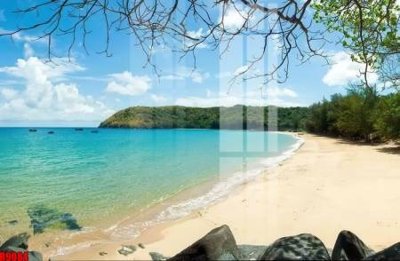 File in lụa file tranh in treo tường file decor tổng hợp R9084 (chất lượng cao) file tranh in treo tường file decor tổng hợp R9084