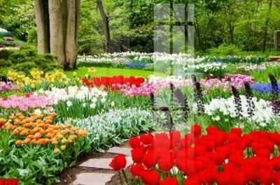 Download file file tranh in treo tường file decor tổng hợp R9087 (gốc) in mica bàn thờ