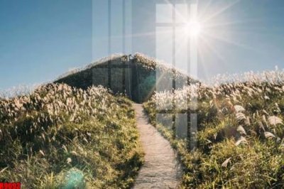 File gốc file tranh in treo tường file decor tổng hợp R9093 (chủ đề hiện đại) trang trí