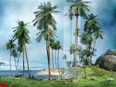 File ảnh file tranh in treo tường file decor tổng hợp R9118 (gốc) cho trang trí nhà hàng