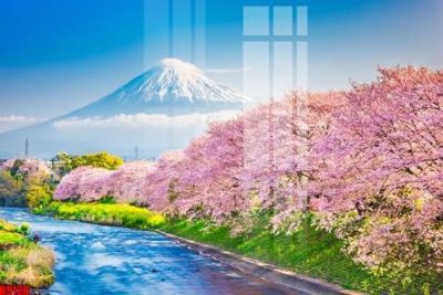 Download file file tranh in treo tường file decor tổng hợp R9128 (gốc) in mica ốp bếp