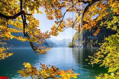 File tranh ảnh gốc file tranh in treo tường file decor tổng hợp R9133 dùng cho in khổ lớn