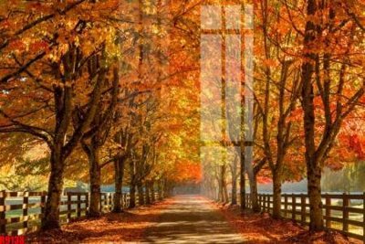 File gốc file tranh in treo tường file decor tổng hợp R9138 (ảnh chi tiết) để in ấn