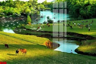 File gốc file tranh in treo tường file decor tổng hợp R9149 (ảnh chi tiết) để in trần