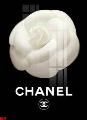 Ảnh gốc file tranh in treo tường file decor tổng hợp R917 (độ nét cao) in mica