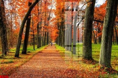 File PSD file tranh in treo tường file decor tổng hợp R9293 (bản gốc) độ phân giải cao