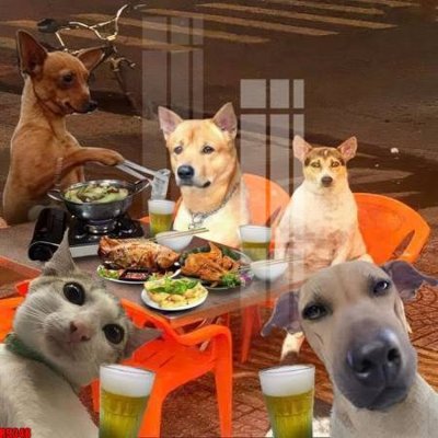 Mua file ảnh gốc file tranh in treo tường file decor tổng hợp R9348 (chất lượng cao)