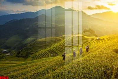 Mua file gốc file tranh in treo tường file decor tổng hợp R9625 (in ấn) tại Filetranh.com