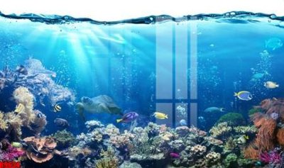 Mua file ảnh gốc file tranh in treo tường file decor tổng hợp R9634 (chất lượng cao)