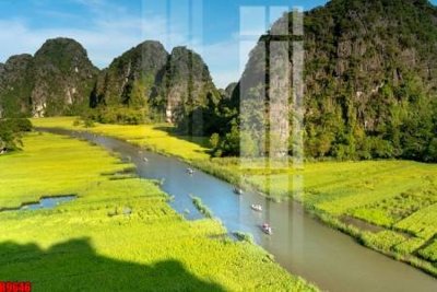 File gốc file tranh in treo tường file decor tổng hợp R9646 (in tráng gương) nghệ thuật