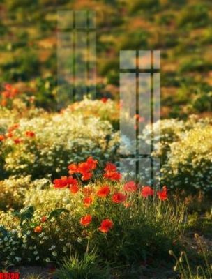 File in trần file tranh in treo tường file decor tổng hợp R9730 (file gốc) xuyên sáng