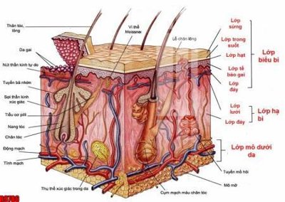 Hình ảnh file gốc file tranh in treo tường file decor tổng hợp R9786 (chất lượng cao)