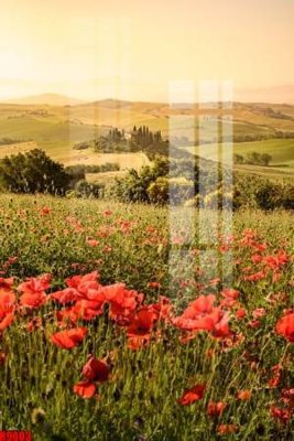 File tranh gốc in trần nhà file tranh in treo tường file decor tổng hợp R9803 3D