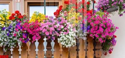 File tranh in trần 3D file tranh in treo tường file decor tổng hợp R9818 (ảnh gốc)