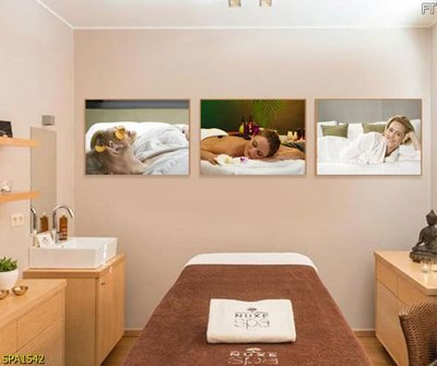 Tải file Tranh trang trí Spa SPA1542 (PSD) cho in ấn quảng cáo