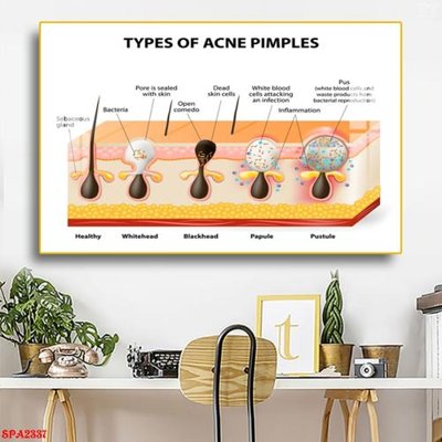 File in ấn Tranh trang trí Spa SPA2337 chuyên nghiệp