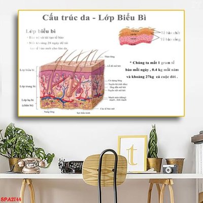 Tải file Tranh trang trí Spa SPA2744 (gốc) làm file thiết kế