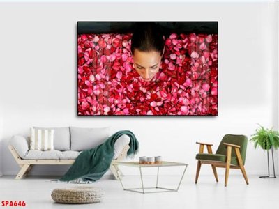 File tranh Tranh trang trí Spa SPA646 (gốc) in vải canvas