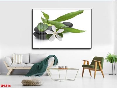 Tải file gốc Tranh trang trí Spa SPA816 (in không vỡ ảnh)