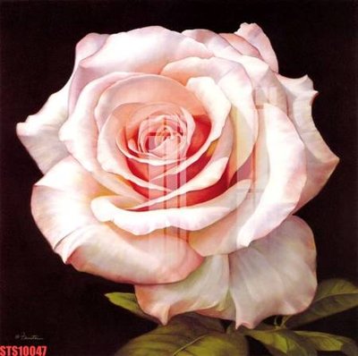 File gốc Tranh sơn dầu phương tây tổng hợp STS10047 (PNG) nền trong suốt