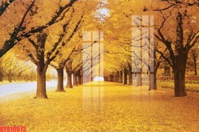 File gốc Tranh sơn dầu phương tây tổng hợp STS10073 (in lụa) cao cấp