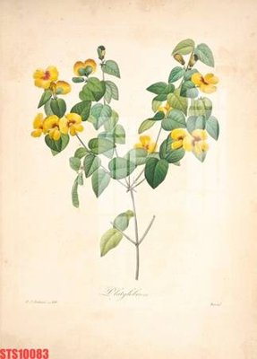 Download file gốc Tranh sơn dầu phương tây tổng hợp STS10083 (in mica) trong suốt