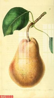 File tranh Tranh sơn dầu phương tây tổng hợp STS10089 (bản gốc) treo quán cafe