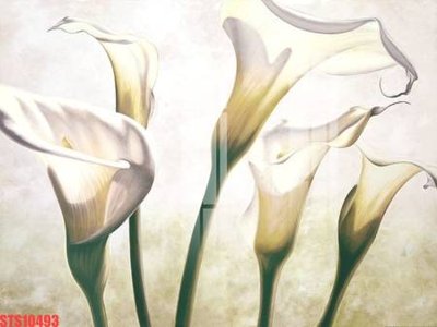 Download file gốc Tranh sơn dầu phương tây tổng hợp STS10493 (in mica) logo