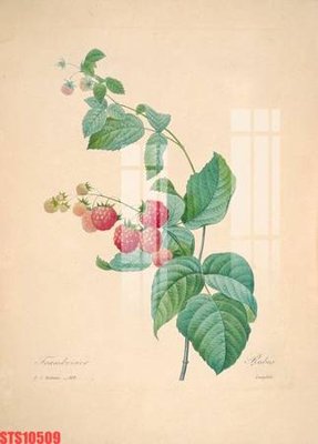 File ảnh Tranh sơn dầu phương tây tổng hợp STS10509 (gốc) cho trang trí nhà hàng