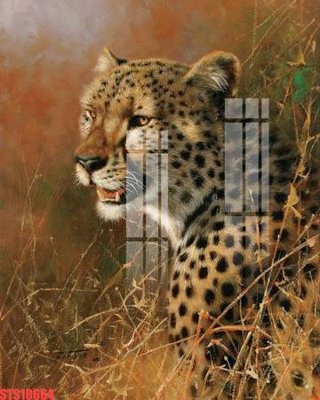 File tranh trang trí Tranh sơn dầu phương tây tổng hợp STS10664 (file gốc)