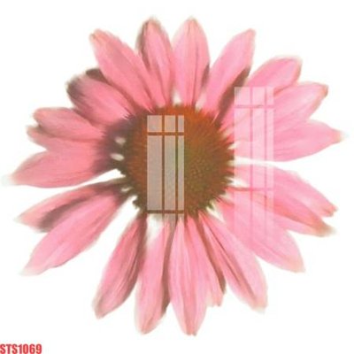 Hình ảnh gốc Tranh sơn dầu phương tây tổng hợp STS1069 (để in khổ lớn)