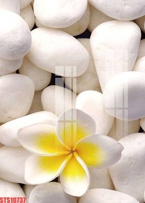 Download file tranh PSD Tranh sơn dầu phương tây tổng hợp STS10737 để chỉnh sửa