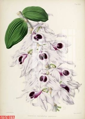 File gốc Tranh sơn dầu phương tây tổng hợp STS10777 (in lụa) tranh thuận buồm