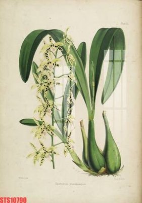 Tải file Tranh sơn dầu phương tây tổng hợp STS10790 (gốc) làm file in ấn