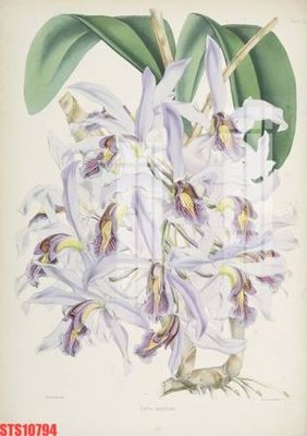 File gốc in ấn Tranh sơn dầu phương tây tổng hợp STS10794 chất lượng vượt trội