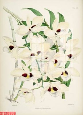 File gốc Tranh sơn dầu phương tây tổng hợp STS10806 (PNG) chất lượng cao