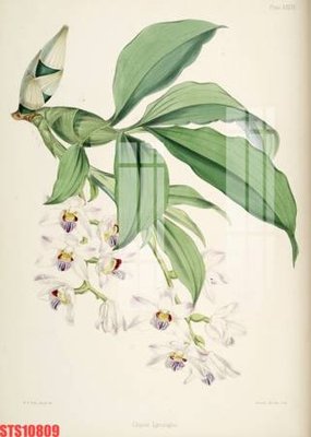 File tranh in mica Tranh sơn dầu phương tây tổng hợp STS10809 (độ phân giải cao)