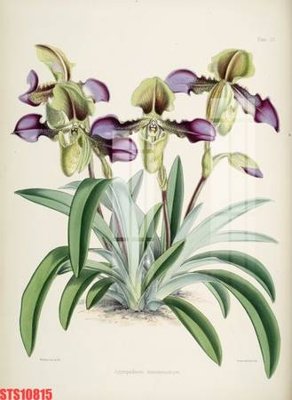 File gốc Tranh sơn dầu phương tây tổng hợp STS10815 (in mica) làm bảng hiệu