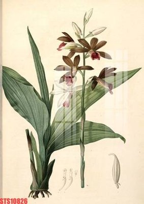 Ảnh gốc Tranh sơn dầu phương tây tổng hợp STS10826 (độ nét cao) in mica