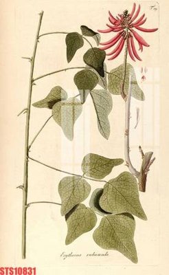 File tranh Tranh sơn dầu phương tây tổng hợp STS10831 (gốc) phong cách tối giản