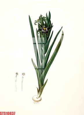 File tranh Tranh sơn dầu phương tây tổng hợp STS10837 (ảnh gốc) độ nét vượt trội