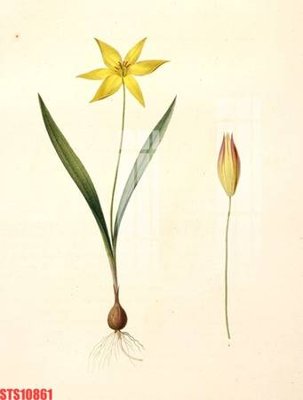 File gốc Tranh sơn dầu phương tây tổng hợp STS10861 (in 3D) cho trang trí