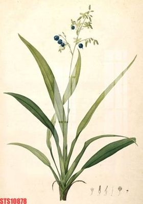 Tải file Tranh sơn dầu phương tây tổng hợp STS10878 (gốc) in ấn ngay lập tức