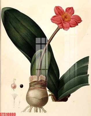 File gốc Tranh sơn dầu phương tây tổng hợp STS10880 (in lụa) hoa văn cổ điển