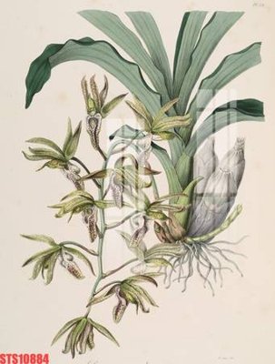 Tải về file tranh gốc Tranh sơn dầu phương tây tổng hợp STS10884 (để in quảng cáo)