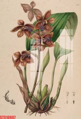 File gốc Tranh sơn dầu phương tây tổng hợp STS10887 (AI/EPS) cho in ấn