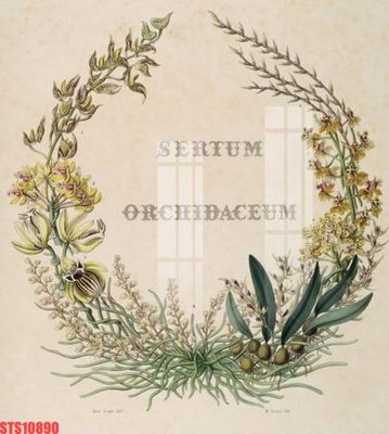 Tải file Tranh sơn dầu phương tây tổng hợp STS10890 (gốc) in nhanh