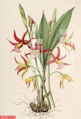 File PSD Tranh sơn dầu phương tây tổng hợp STS10897 (gốc) nhiều lớp (multi-layer)