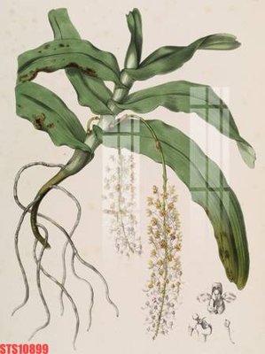 File tranh quảng cáo Tranh sơn dầu phương tây tổng hợp STS10899 (download file gốc)