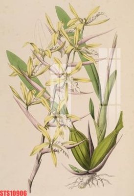 File gốc in ấn Tranh sơn dầu phương tây tổng hợp STS10906 (sẵn sàng tải về)